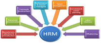 Human Resource Management System